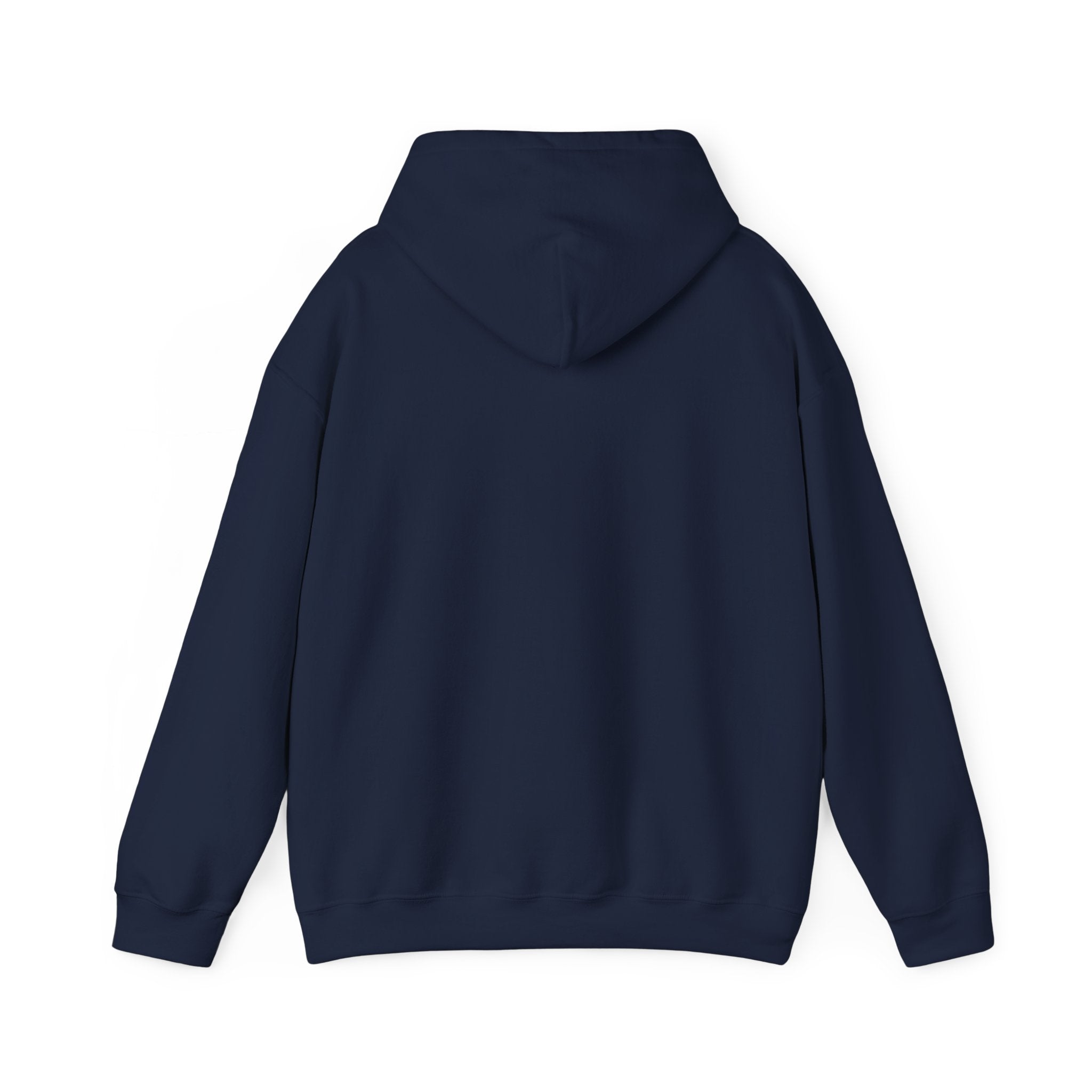 Raised on Sunsets Hoodie | western ranch cowgirl rustic prairie vintage