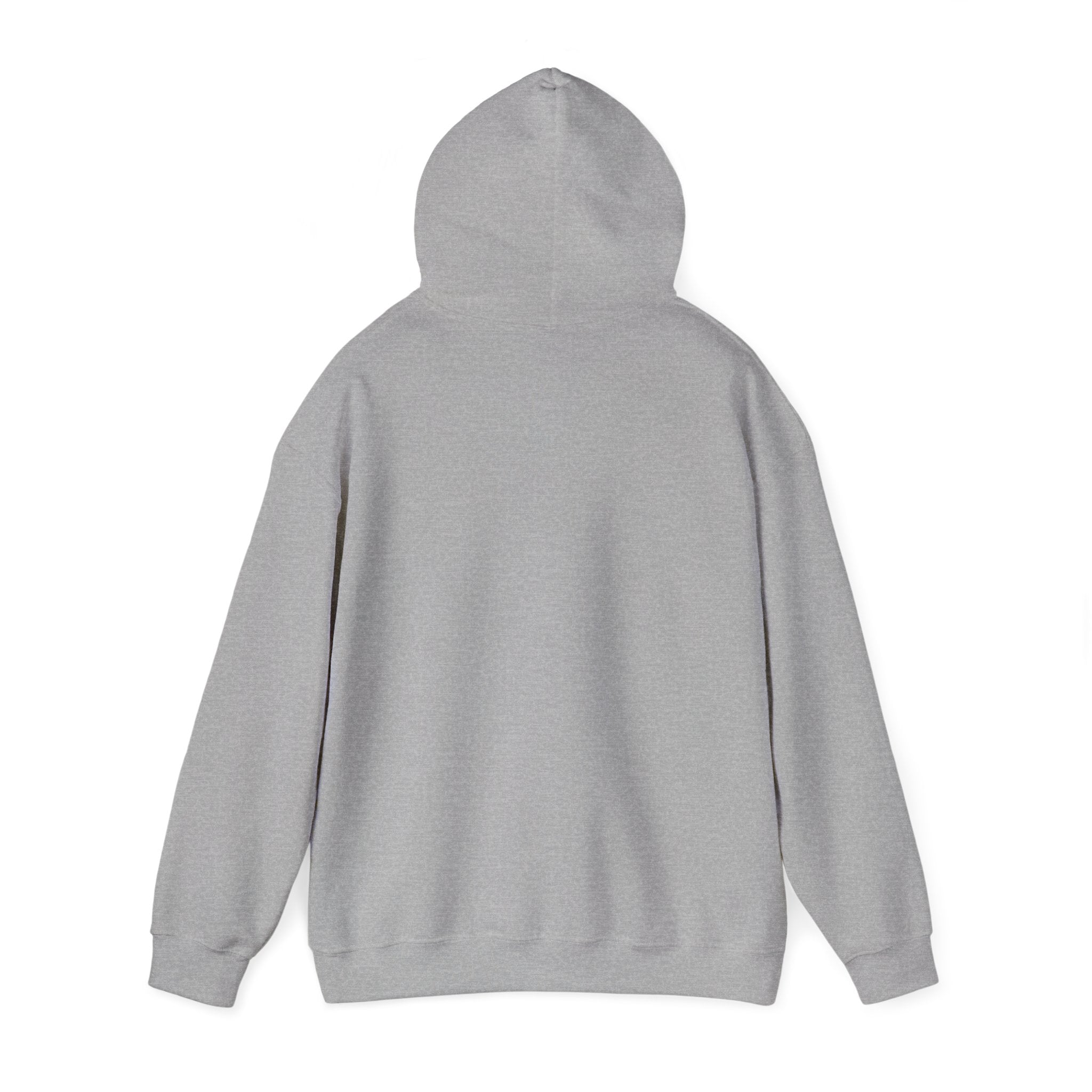 Raised on Sunsets Hoodie | western ranch cowgirl rustic prairie vintage